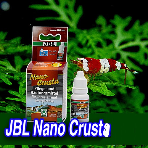 JBL 나노 크러스타(CRS/가재 - 700L용)