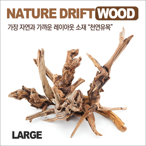 Nature Drift Wood 천연유목 대