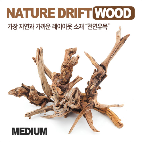 Nature Drift Wood 천연유목 중