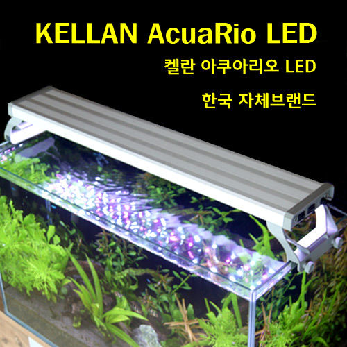 켈란 아쿠아리오 LED45(화이트+레드)/LED등/켈란LED