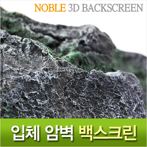 Noble 3D 암벽 백스크린 B-black