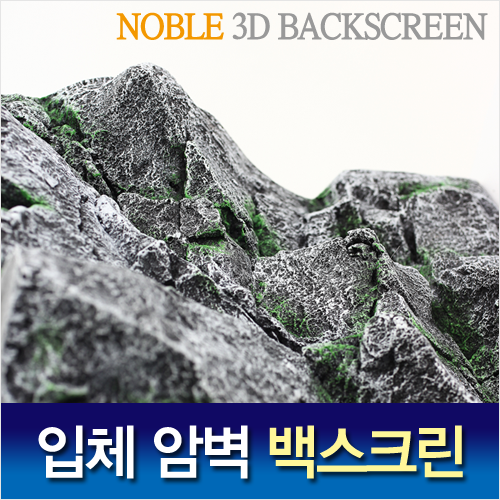 Noble 3D 암벽 백스크린 C-black