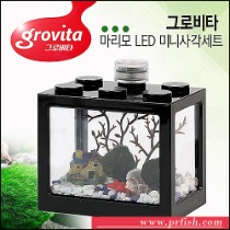 그로비타 마리모 LED 미니사각세트(블랙)
